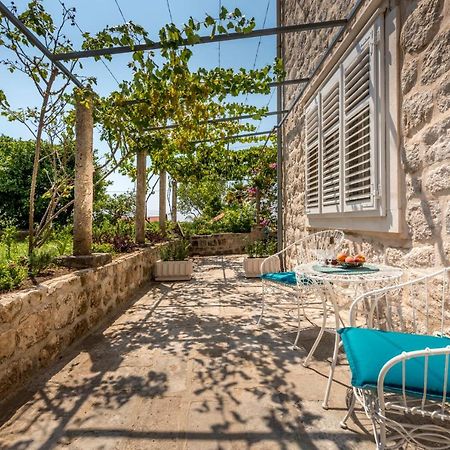 Apartment Old Garden Dubrovnik Extérieur photo